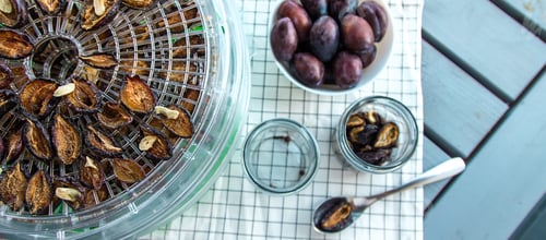 Preview: Plums dried in a dehydrator. Selective focus.