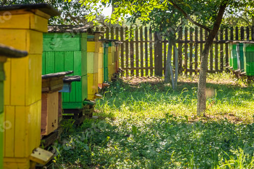 Preview: Handmade apiary in summer sunny day, Europe
