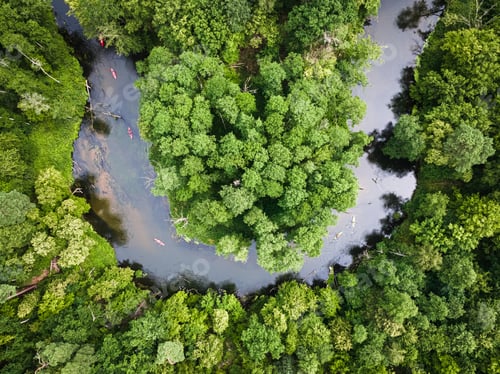 Preview: Kayaking on river. Sport in summer. Aerial view of Poland