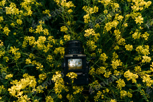 Preview: Vintage camera taking picture in field