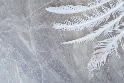 Preview: Set of lying white fluffy twirled feathers on marble background