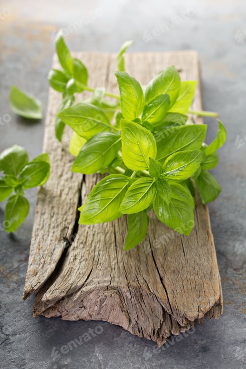 Preview: Fresh green basil leaves