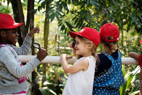 Preview: Little Kids Learning Environment on School Fieldtrip