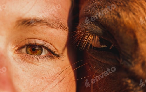 Preview: Beautiful closeup shot of a person's green eye and an animal's eye as two perspectives of beauty