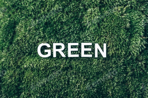 Preview: Inscription Green on moss, green grass background. Nature backdrop