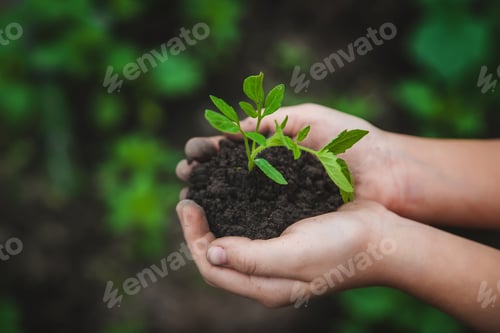 Preview: nature