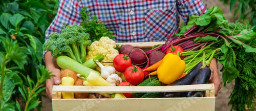 Preview: food