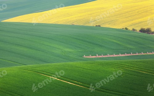 Preview: Minimalistic landscape with green fields, rolling hills at sunri