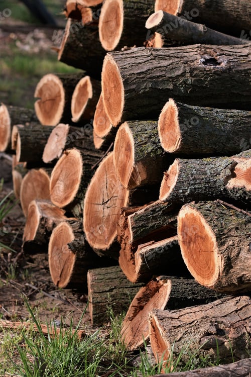 Preview: Close up of a pile of chopped wood outdoors ready for winter