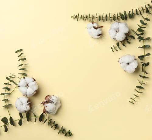 Preview: Flat lay composition with cotton flowers on yellow background. Space for text