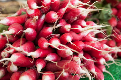Preview: Red long radishes on a market
