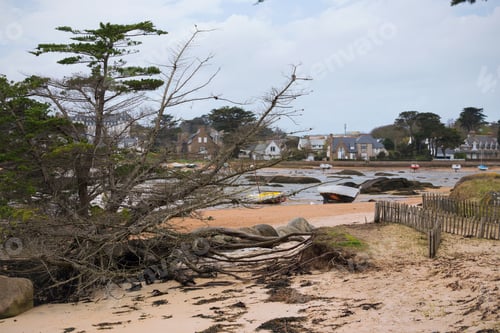Preview: boats at low tide