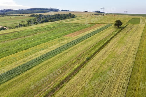 Preview: Aerial view of green agriculture fields in spring with fresh vegetation after seeding season.