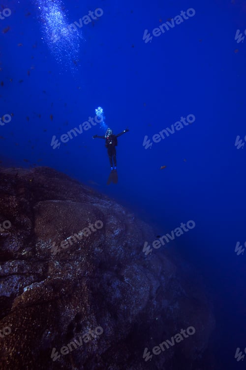 Preview: Man free diving, Revillagigedo Islands, Socorro, Baja California, Mexico
