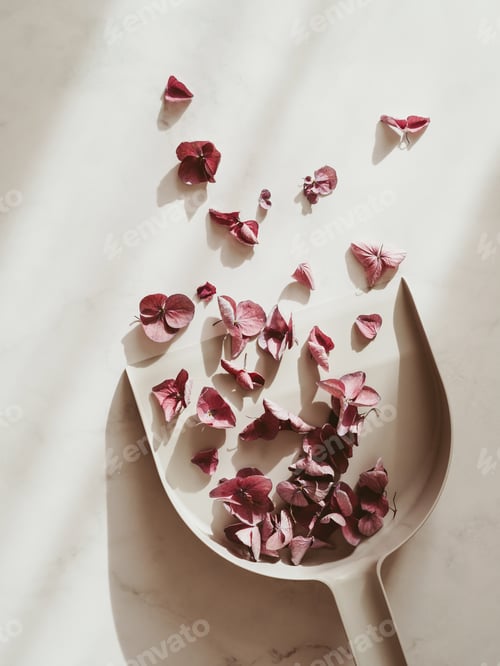 Preview: Scoop for collecting garbage and dry fallen hydrangea flowers in a scoop