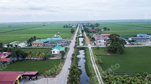 Preview: Aerial view of village within the green fields with paddy during planting season.