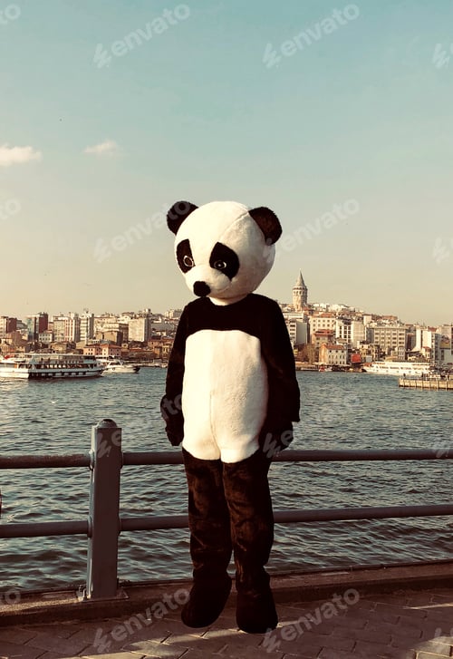 Preview: A man in a Panda costume jumping