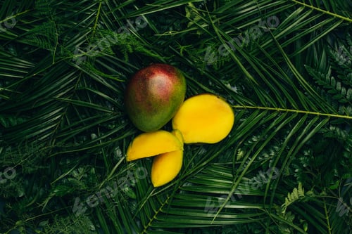 Preview: top view of fresh mangos on green palm leaves