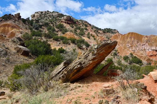 Preview: Juniper-Sunflower-Roho trails on a sunny day in Palo Duro Canyon State Park, Texas, United States