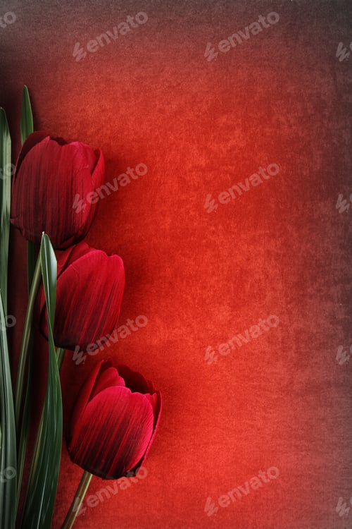 Preview: Beautiful tulip flowers on vintage background