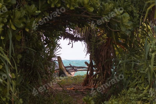 Preview: View through the greenery of the fishing boat and the ocean.