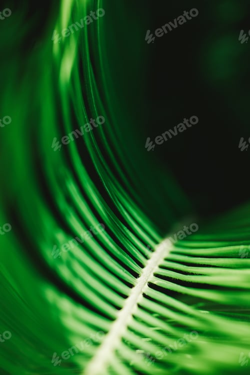 Preview: background texture green leaf structure macro photography