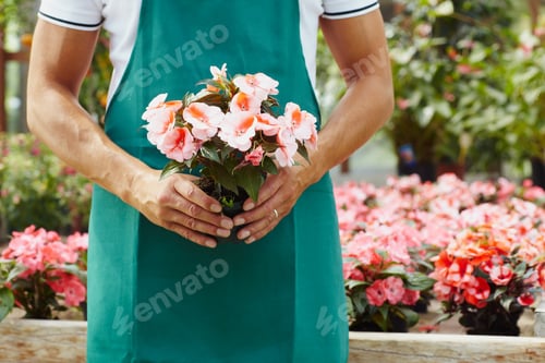 Preview: Portrait Of Man Working As Florist In Flower Shop Holding Bucket