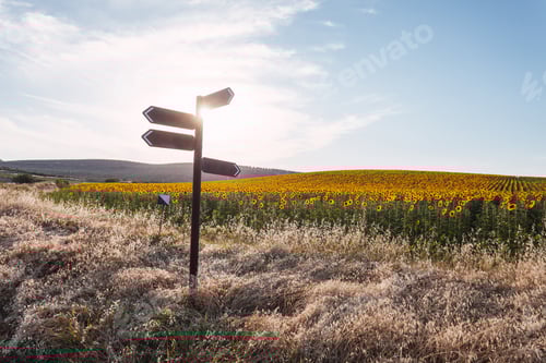 Preview: Direction Signpost in the Countryside