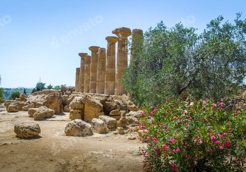Preview: Temple of Heracles Dorian columns in the Valley of Temples - Agrigento, Sicily, Italy