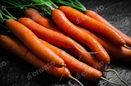 Preview: Fresh bunch of carrots .