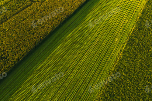 Preview: Areal view of crop fields in sunny summer day in Austria