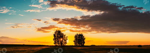 Preview: Sun Shining Through Tree Canopy. Trees Woods In Meadow During Sunset Sunrise. Bright Colorful