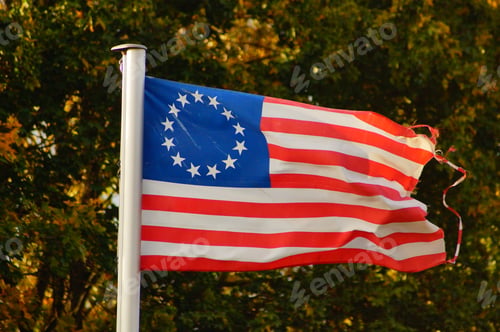 Preview: The Betsy Ross flag flies in an allotment garden.