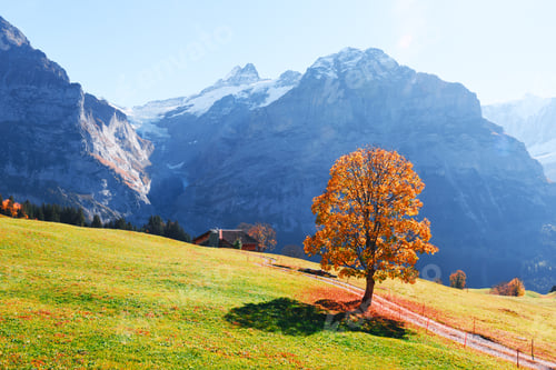 Preview: Picturesque autumn landscape in Grindelwald village