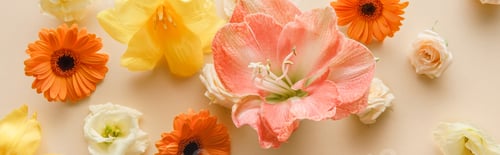 Preview: top view of spring flowers on beige background, panoramic shot
