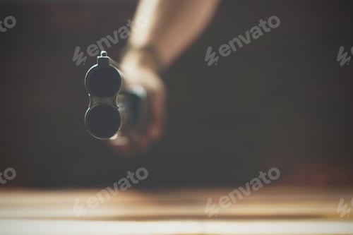 Preview: Close up of double barrel hunting gun