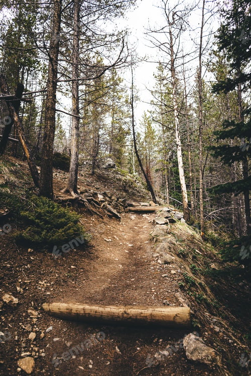 Preview: Hiking