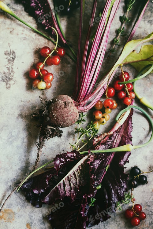 Preview: Variety of young vegetables