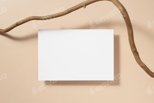 Preview: White paper empty blank, tree branch on beige background.