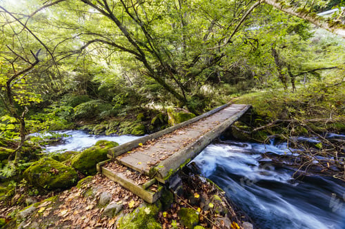 Preview: Tateshina Otaki Falls in Japan