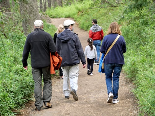 Preview: People walking in nature