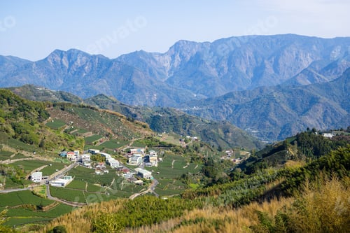 Preview: Lots of tea field over the mountain in Alishan of Shizhuo in Taiwan
