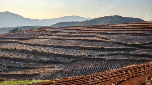 Preview: Field with rows of crops and distant mountains at Wa Fang Liang Zi China