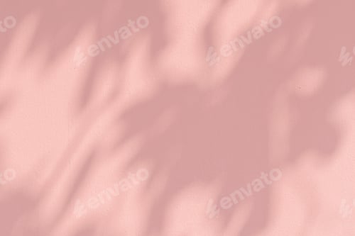 Preview: Shadow of leaves on a pink wall