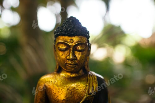 Preview: meditating buddha statue jungle background