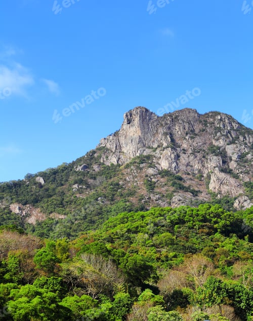 Preview: Lion Rock
