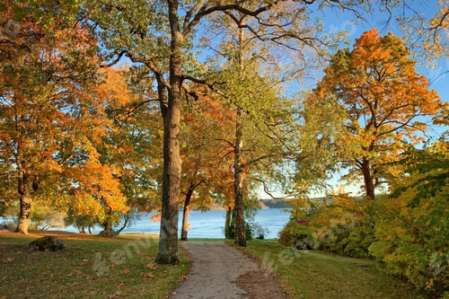 Preview: Autumn in Sweden
