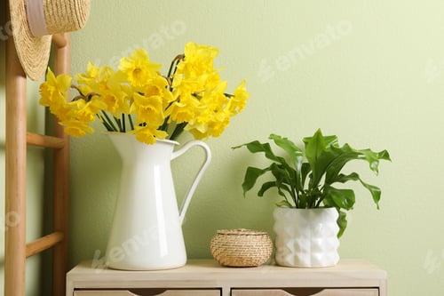 Preview: Jug with beautiful daffodils and houseplant on table indoors