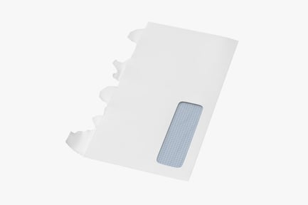 Preview: Opened White Envelope with Window