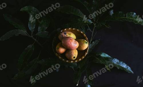 Preview: Top view of mangos on a dark surface with tree leaves